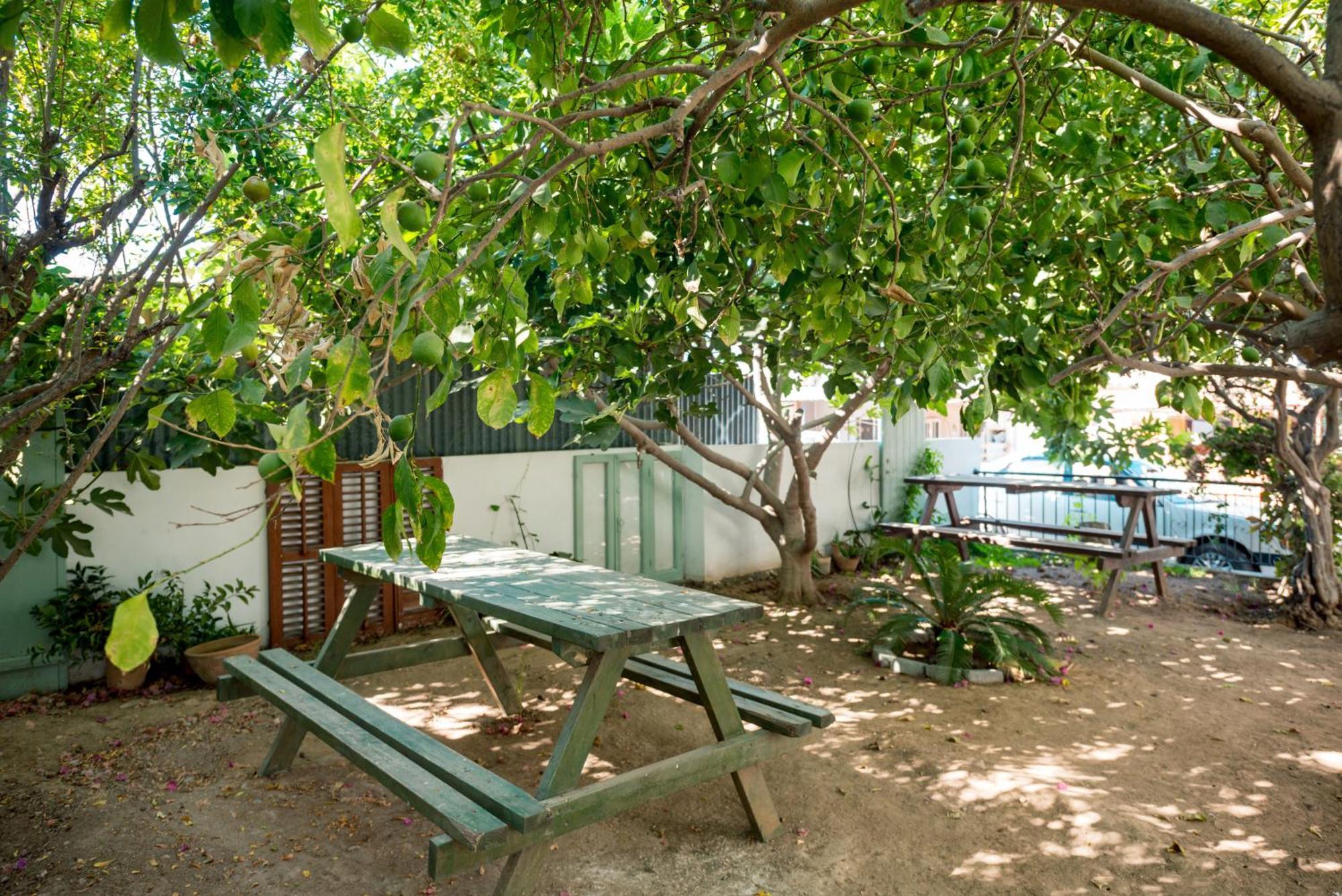 Diamante Guest House-Stone Room Famagusta (Northern Cyprus) Exterior foto